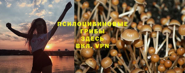 ECSTASY Зеленокумск