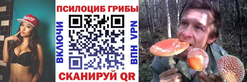 Галлюциногенные грибы Psilocybe Морозовск